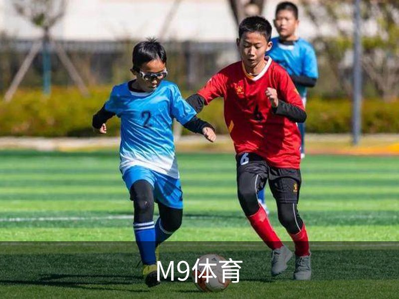M9体育介绍